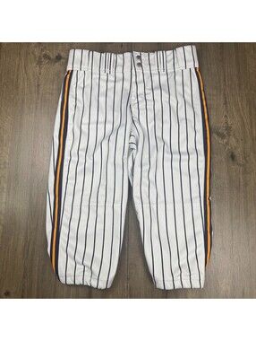 ProLook Baseball Pants Purple/Yellow Pinstripe Mens 32 Knicker Length